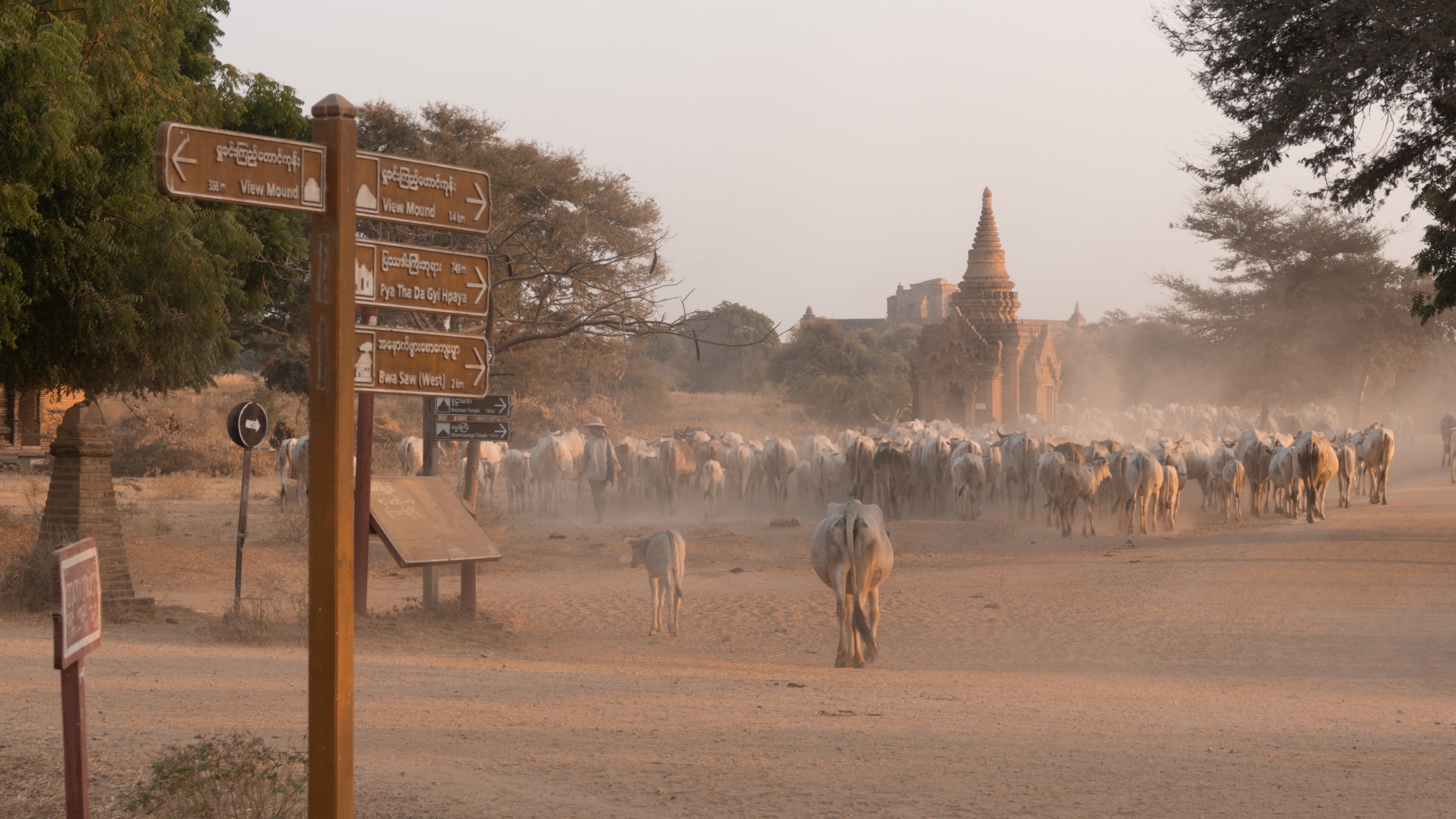 Picture of Myanmar